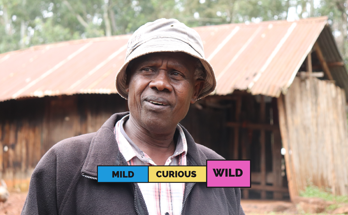 KENYA | Thunguri | SL28 & SL34 | Natural – Proud Mary Coffee USA
