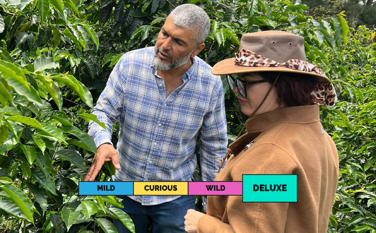 LIMITED | PANAMA | Mama Cata | Toña | Geisha | ASD Natural – Proud