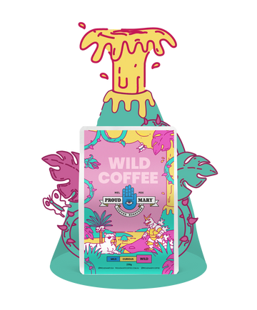 【Wilcox】【Lady Mary】コーヒーサービス 3点 果実のレリーフ Wilcox】【Lady Mary】コーヒーサービス 3点 果実のレリーフ
