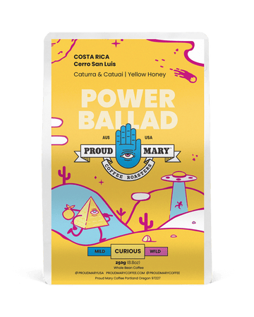 COSTA RICA | Cerro San Luis Micromill | Caturra & Catuai | Yellow Honey