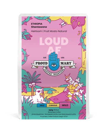 ETHIOPIA | Shantawene | Heirloom | Fruit Mosto Natural