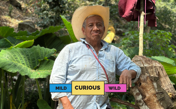 MEXICO | Santa Cruz | Bourbon & Typica | Honey