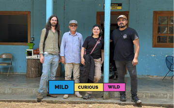 MEXICO | Santa Cruz | Bourbon & Typica | Washed