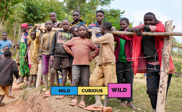 BURUNDI | Munkaze | Bourbon | Natural