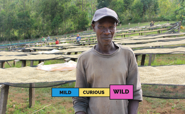 BURUNDI | Nemba | Bourbon | Natural