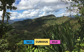 COLOMBIA | La Mariposa | Caturra & Caastillo | Washed