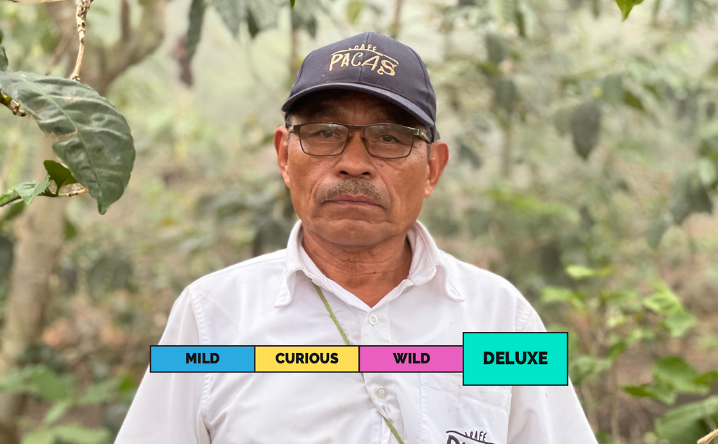 LIMITED | EL SALVADOR | Los Bellotos | Bernardina | Anaerobic Honey Sunset