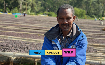 ETHIOPIA | Abana Estate | Anderacha | Heirloom | Natural