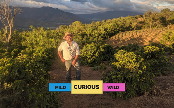 GUATEMALA | Ojo de Agua | Bourbon & Caturra | Washed