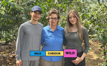 GUATEMALA | Santa Felisa | Pacamara | Natural