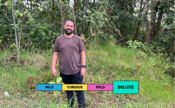 LIMITED | HONDURAS | Benjamin Paz | Geisha | Anaerobic Washed