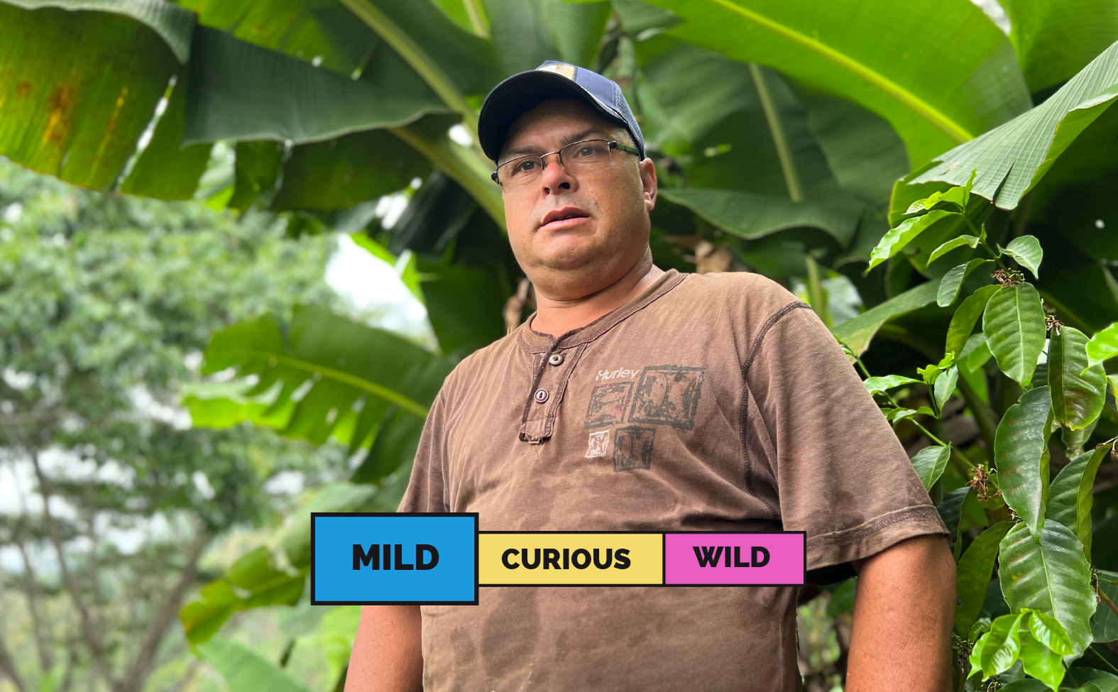 HONDURAS | Ovidio Gomez | Catuai | Washed