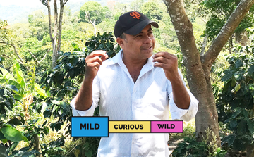 NICARAGUA | Monte Libano | Caturra | Washed