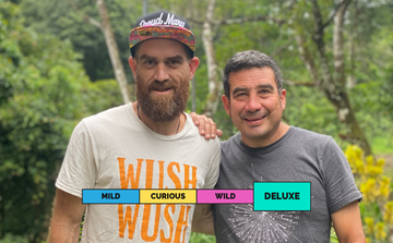 LIMITED | PANAMA | Mi Finquita | Geisha | Natural | Secret of the Night