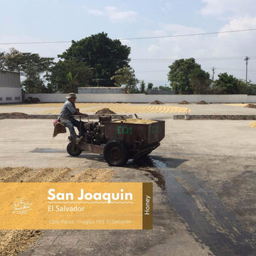 El Salvador | San Joaquin | Red Bourbon | Honey | Filter - Proud Mary Coffee Melbourne