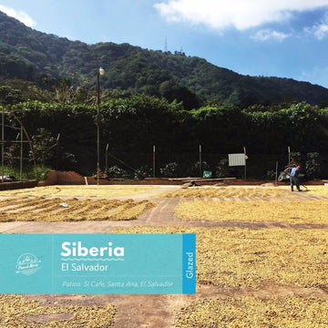 El Salvador | Siberia | Red Bourbon | Glazed | Filter
