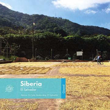 El Salvador | Siberia | Red Bourbon | Glazed | Espresso