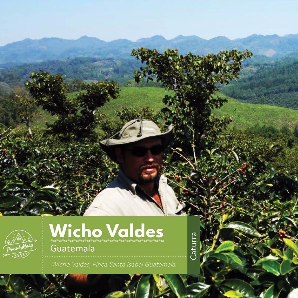 Guatemala | Wicho Valdez | Caturra | WASHED