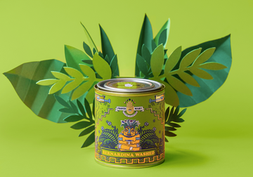 LIMITED | EL SALVADOR | Finca La Guachoca | Bernardina | Washed | 100gm tin