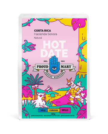 COSTA RICA | Hacienda Sonora | Bourbon | Natural