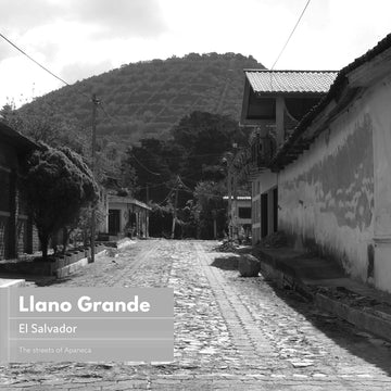 El Salvador | Llano Grande (2018) | Pacamara | Natural