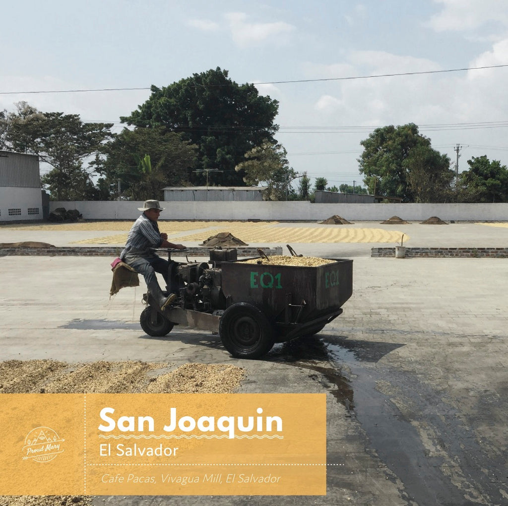EL SALVADOR | San Joaquin | Red Bourbon | Washed