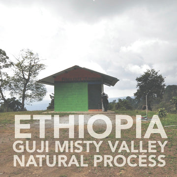 Ethiopian 'Guji' Misty Valley | Natural