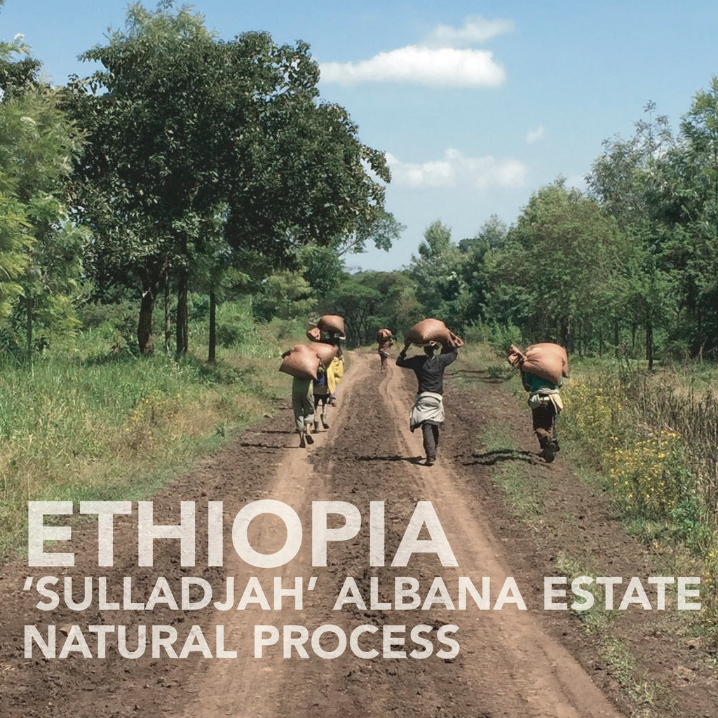 Ethiopian 'Sulladjah' Abana Estate | Natural