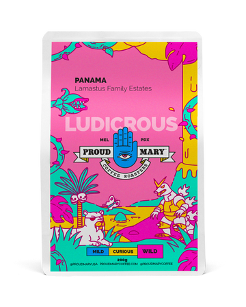 PANAMA | Lamastus Family Estates | Catuai | Natural