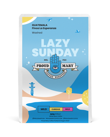 GUATEMALA | Finca La Esperanza | Villa Sarchí | Washed