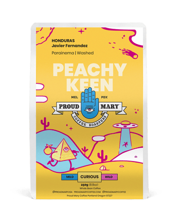 HONDURAS | Javier Fernandez | Parainema | Washed