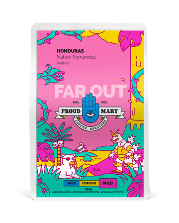 Honduras | Nahun Fernandez | Parainema | Natural