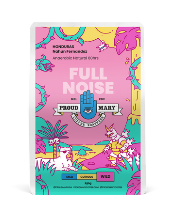 HONDURAS | Nahun Fernandez | Pacas & Catuai | Anaerobic Natural 60hrs