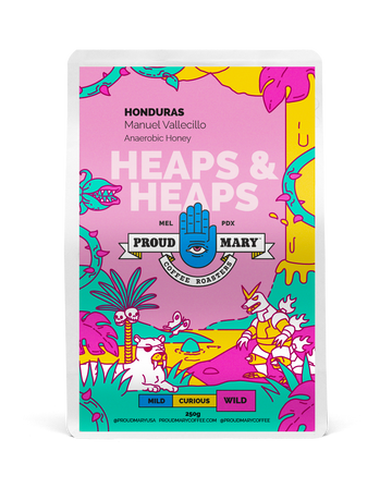 Honduras | Manuel Vallecillo | Pacas | Anaerobic Honey