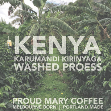 Kenya | Karumandi Kirinyaga (2018) | Washed