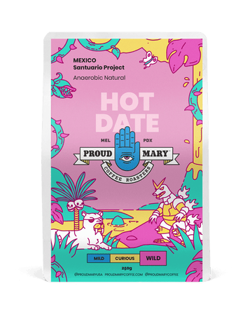 MEXICO | Santuario Project | Red Bourbon | Anaerobic Natural