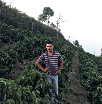 Honduras | Rodin Moreno | Pacas & Catimor | Washed