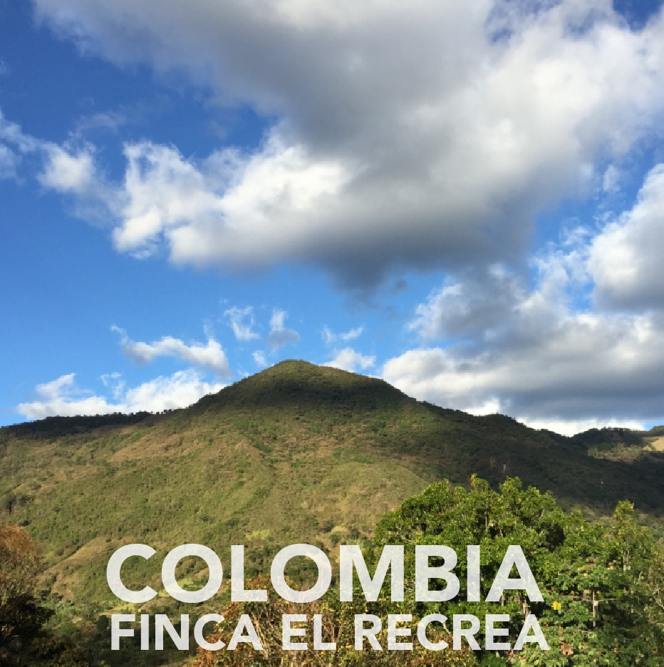 Colombia | Finca El Recreo | Washed