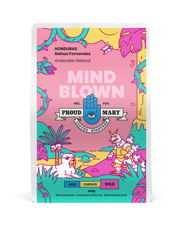 HONDURAS | Nahun Fernandez | Parainema | Anaerobic Natural 60hrs