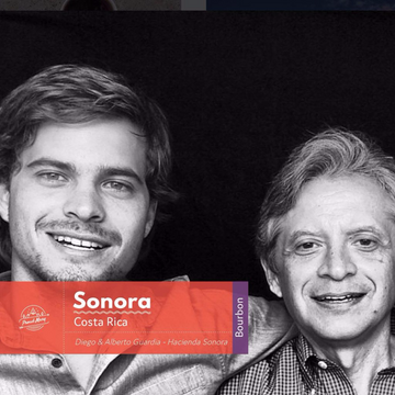 Costa Rica | Hacienda Sonora | Red Bourbon | NATURAL